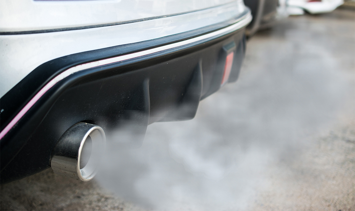 Which vehicle exhaust emissions damage the environment?