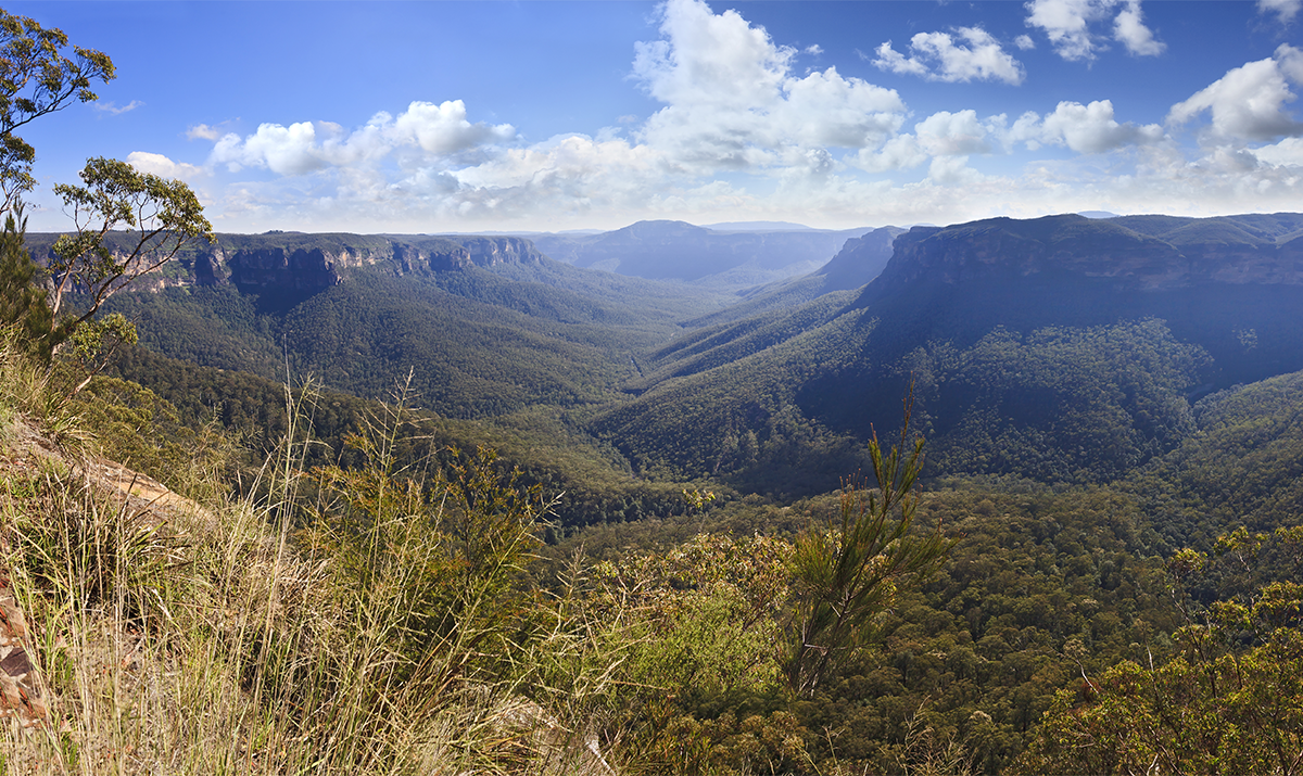 Get panoramic Blue Mountains views at Evans Lookout
